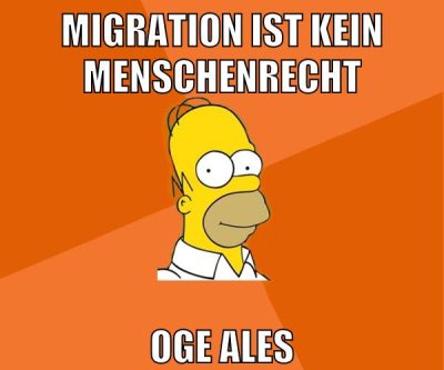 migration ist kein menschenrecht oge ales