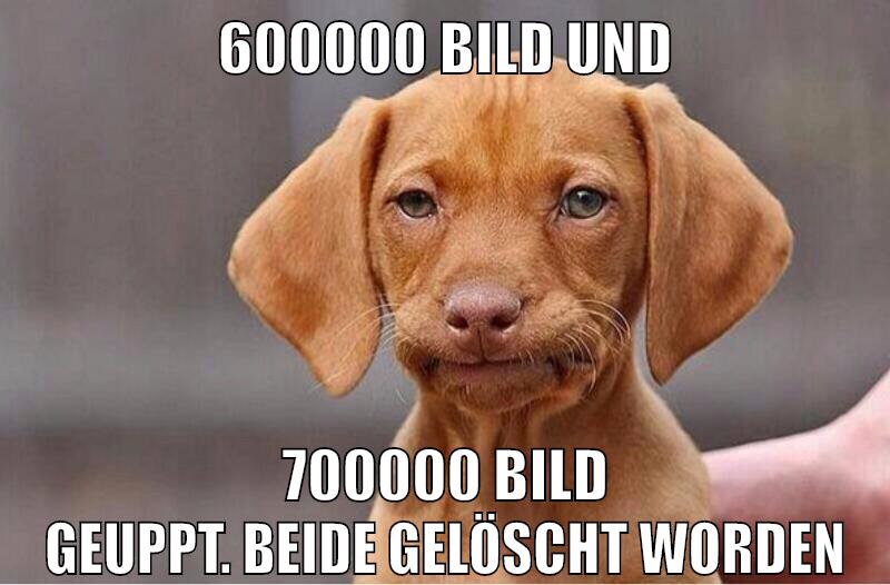 600000 Bild und 700000 Bild geuppt. Beide gelöscht worden