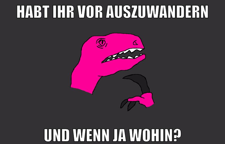 HABT IHR VOR AUSZUWANDERN UND WENN JA WOHIN?