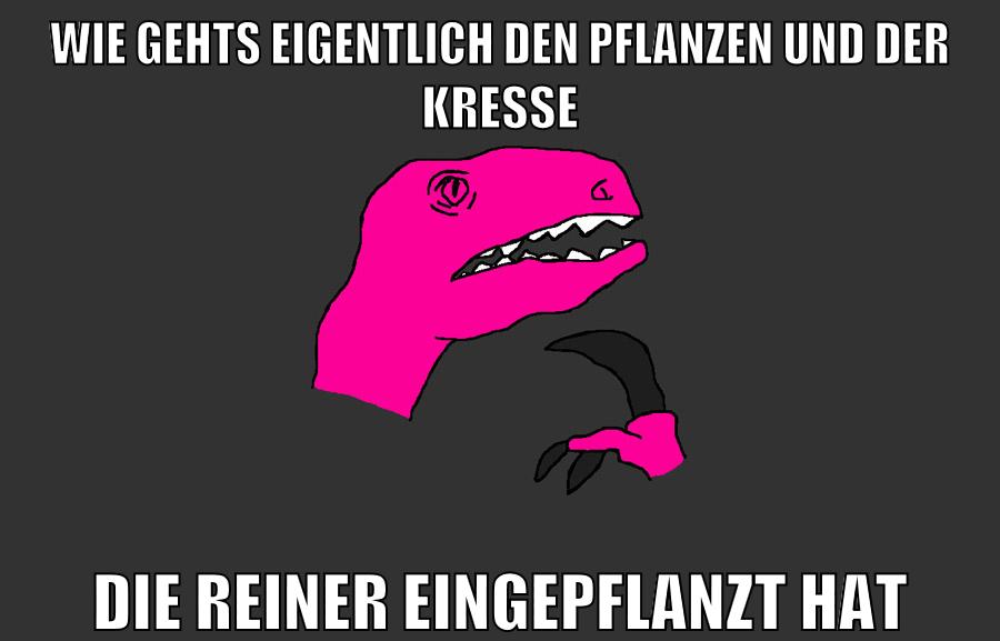 wie gehts eigentlich den pflanzen und der kresse die reiner eingepflanzt hat