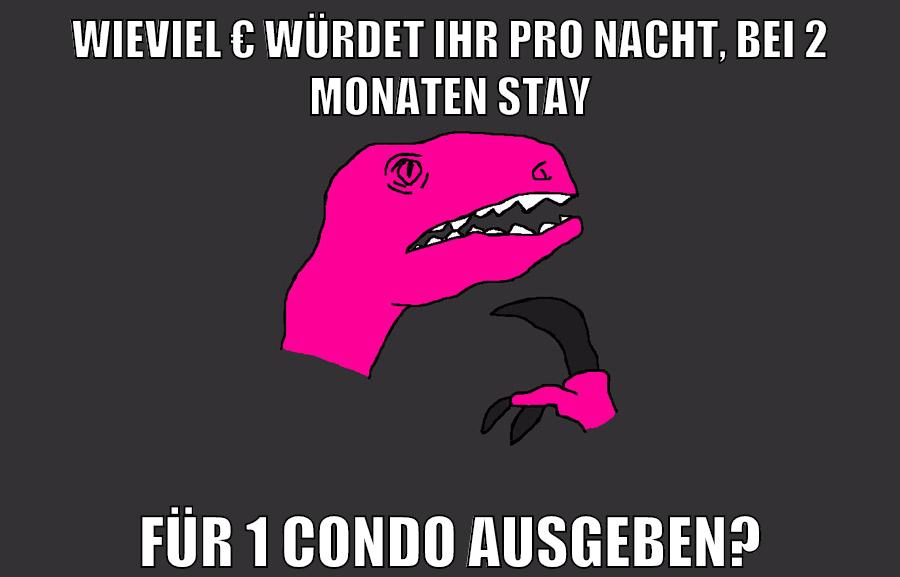wieviel € würdet ihr pro nacht, bei 2 monaten stay für 1 condo ausgeben?