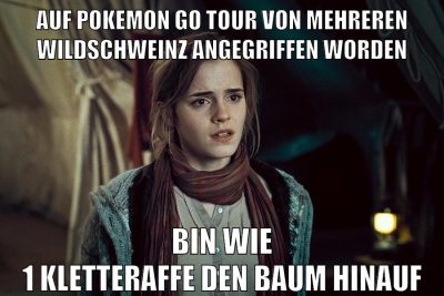 auf pokemon go tour von mehreren wildschweinz angegriffen worden bin wie 1 kletteraffe den baum hinauf