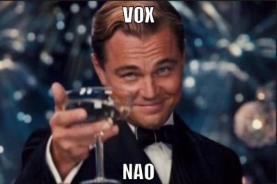 VOX NAO