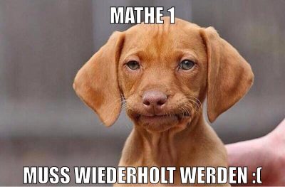 Mathe 1 muss wiederholt werden :(