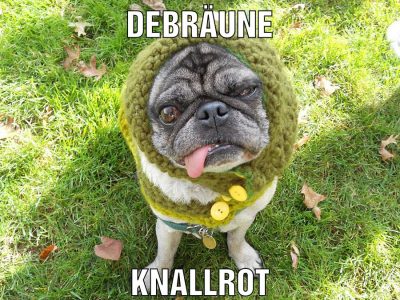 debräune knallrot