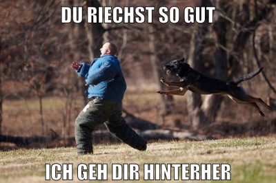 DU RIECHST SO GUT ICH GEH DIR HINTERHER