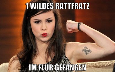 1 wildes rattfratz im flur gefangen