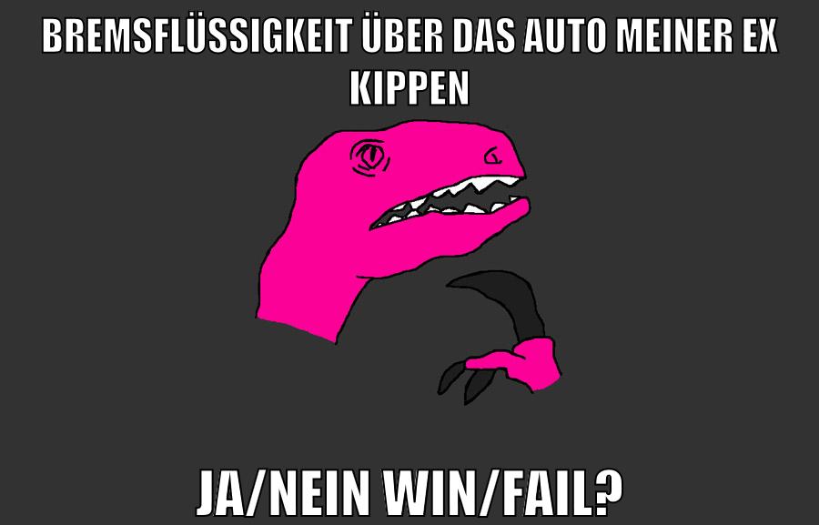 BREMSFLÜSSIGKEIT ÜBER DAS AUTO MEINER EX KIPPEN JA/NEIN WIN/FAIL?