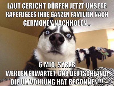 laut gericht dürfen jetzt unsere rapefugees ihre ganzen familien nach germoney nachholen... 6 mio. syrer werden erwartet, gn8 deutschland! die umvolkung hat begonnen!!!