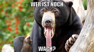 marina und pr0gramm stinken