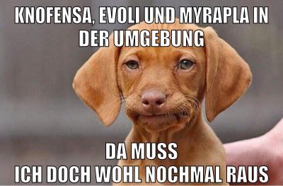Knofensa, Evoli und Myrapla in der Umgebung Da muss ich doch wohl nochmal raus