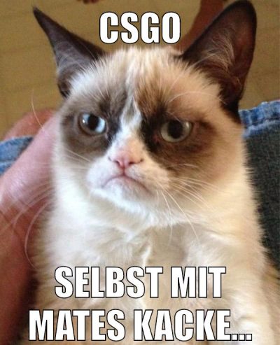 CSGO Selbst mit Mates Kacke...