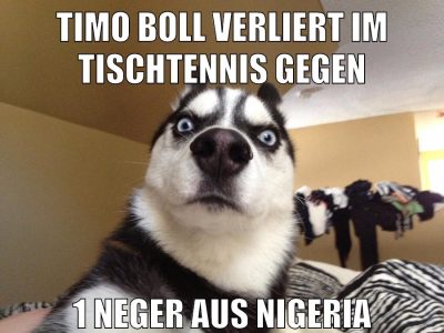 timo boll verliert im tischtennis gegen 1 neger aus nigeria