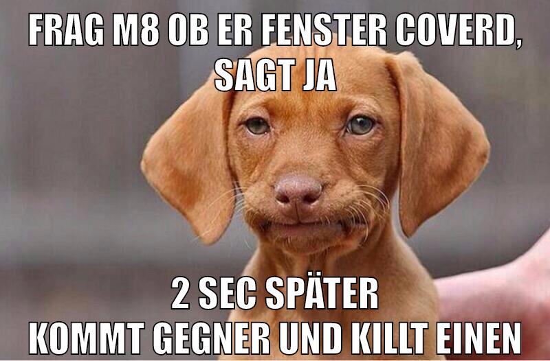 frag m8 ob er fenster coverd, sagt ja 2 sec später kommt gegner und killt einen