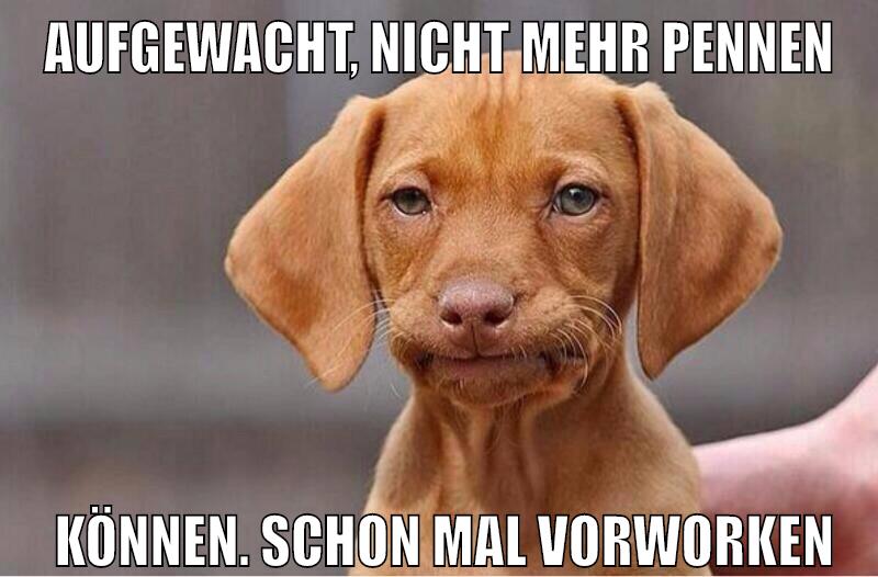 aufgewacht, nicht mehr pennen können. Schon mal vorworken