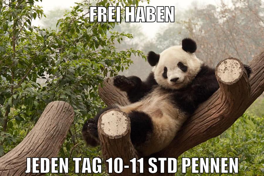 frei haben jeden tag 10-11 std pennen