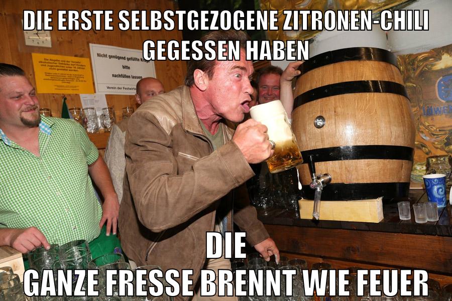 die erste selbstgezogene zitronen-chili gegessen haben die ganze fresse brennt wie feuer