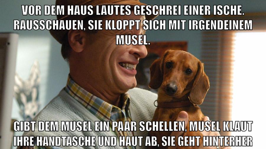 vor dem haus lautes geschrei einer ische. rausschauen, sie kloppt sich mit irgendeinem musel. gibt dem musel ein paar schellen, musel klaut ihre handtasche und haut ab, sie geht hinterher