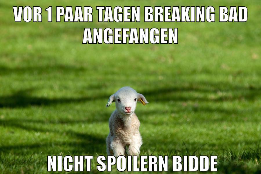 vor 1 paar tagen breaking bad angefangen nicht spoilern bidde