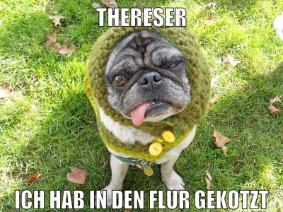 thereser ich hab in den flur gekotzt