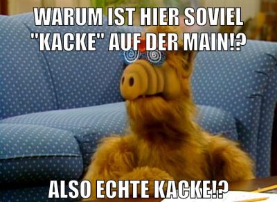 Warum ist hier soviel "KACKE" auf der Main!? Also echte KACKE!?