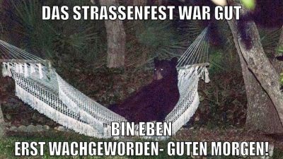 Das Straßenfest war gut Bin eben erst wachgeworden- GUTEN MORGEN!