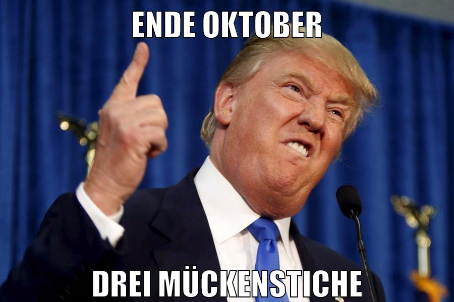 ende oktober drei mückenstiche