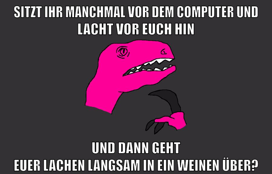 SITZT IHR MANCHMAL VOR DEM COMPUTER UND LACHT VOR EUCH HIN UND DANN GEHT EUER LACHEN LANGSAM IN EIN WEINEN ÜBER?