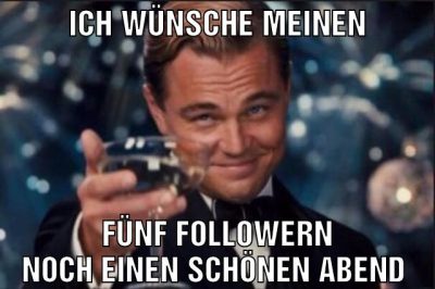 Ich wünsche meinen Fünf followern noch einen schönen abend