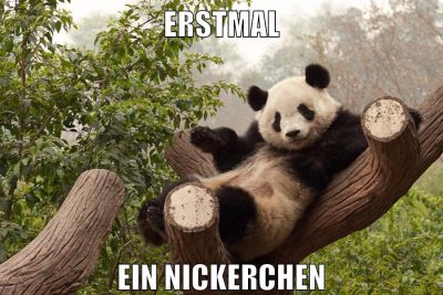 erstmal ein nickerchen