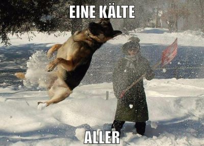 eine kälte aller