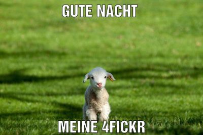 Gute nacht Meine 4fickr