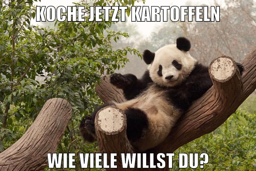 koche jetzt kartoffeln wie viele willst du?