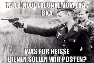 HALLO LIEBE FREUNDE VOM LKA / BKA WAS FÜR HEISSE BIENEN SOLLEN WIR POSTEN?