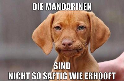 die mandarinen sind nicht so saftig wie erhooft