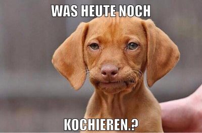 was heute noch Kochieren.?