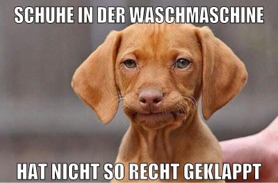 schuhe in der waschmaschine hat nicht so recht geklappt