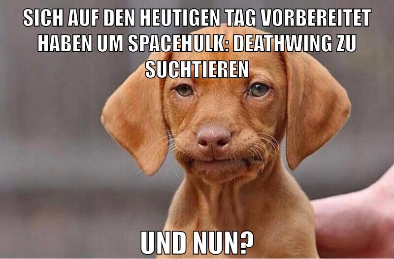 sich auf den heutigen tag vorbereitet haben um spacehulk: deathwing zu suchtieren und nun?