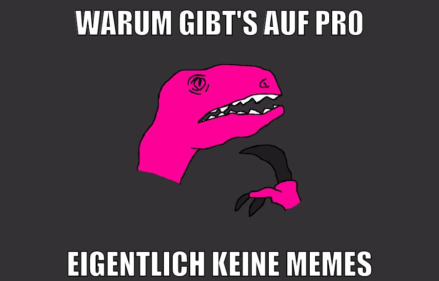 warum gibt's auf pr0 eigentlich keine memes