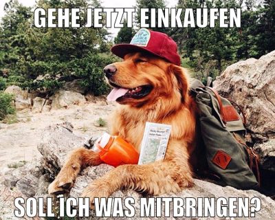 gehe jetzt einkaufen soll ich was mitbringen?
