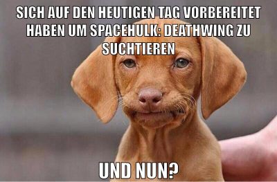 sich auf den heutigen tag vorbereitet haben um spacehulk: deathwing zu suchtieren und nun?