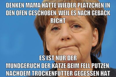 denken mama hätte wieder plätzchen in den ofen geschoben, weil es nach gebäck richt es ist nur der mundgeruch der katze beim fell putzen, nachdem trockenfutter gegessen hat