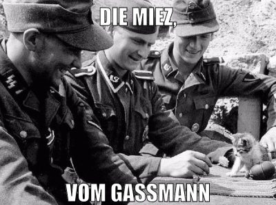Die miez, vom gassmann