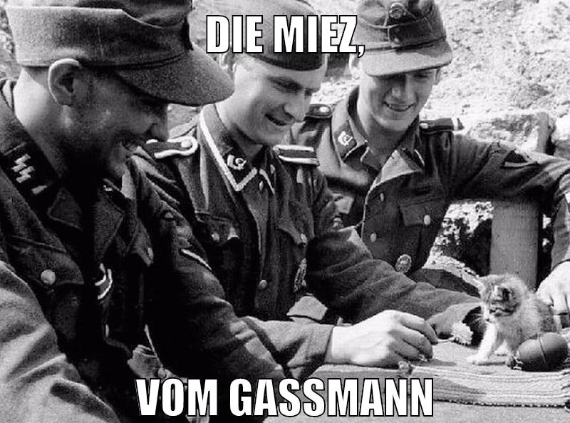 Die miez, vom gassmann