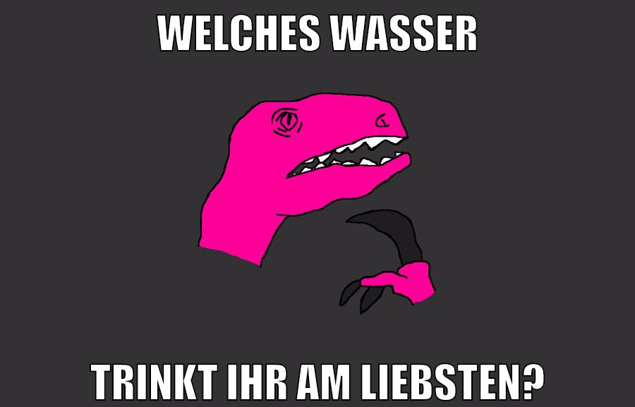 welches wasser trinkt ihr am liebsten?