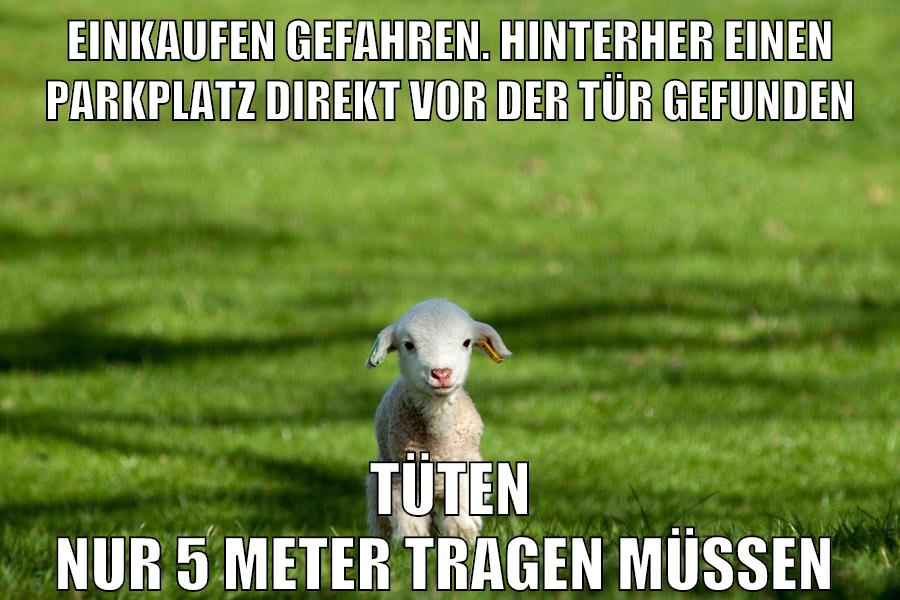 einkaufen gefahren. hinterher einen parkplatz direkt vor der tür gefunden tüten nur 5 meter tragen müssen