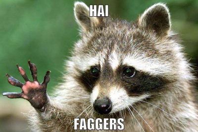 hai faggers