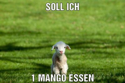 soll ich 1 Mango essen