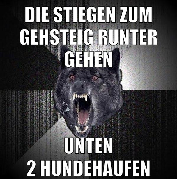 DIE STIEGEN ZUM GEHSTEIG RUNTER GEHEN UNTEN 2 HUNDEHAUFEN