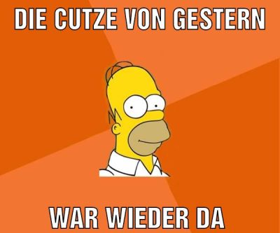 Die cutze von gestern War wieder da